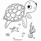 Ocean Coloring Pages Free Printable PDF sketch template