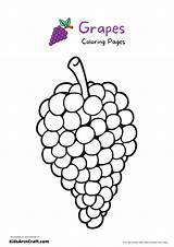 Grapes Coloring Pages For Kids – Free Printables  Art & Craft sketch template