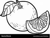 Coloring Book grapefruit Royalty Free Vector Image sketch template