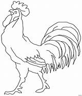 Chicken Chook Coloring Pages sketch template