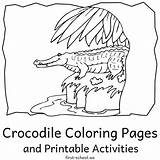 Alligators And Crocodiles Coloring Pages Printable Activities sketch template