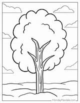 Tree Coloring Page sketch template