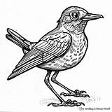 Robin Coloring Pages  Free & Printable sketch template