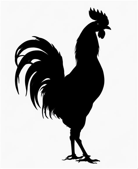 Chicken Silhouette Rooster , Hen Silhouette , shadow of rooster - Clip ...