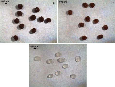 Optical images of alginate beads: a alginate beads containing ...