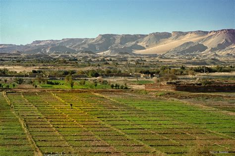 FAO, Egypt development project improves rural agriculture | Agora MedSpring