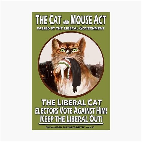 "Vintage British Suffragette Cat and Mouse Act " Photographic Print by ...