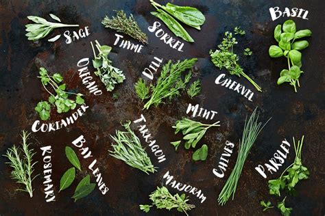 New Moon herbs - how to choose herbs for your rituals