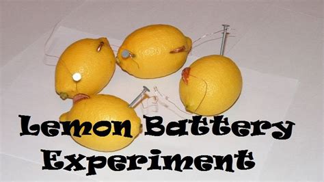 Why Can A Lemon Power Light Bulb | Americanwarmoms.org