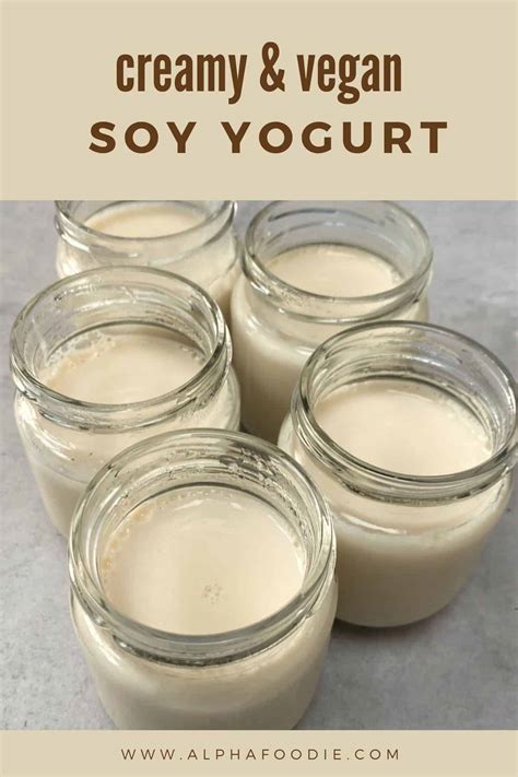 How To Make Soy Yogurt (Vegan Yogurt Recipe) - Alphafoodie