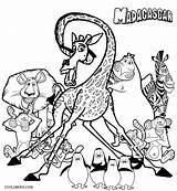 Madagascar Melman Coloring Pages sketch template