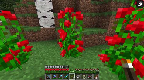 How to get Rose Bush - Minecraft - YouTube