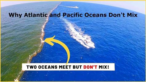 Why the Atlantic and Pacific Oceans Don't mix | Atlantic and pacific ...