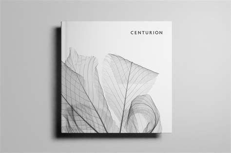 American Express Centurion on Behance