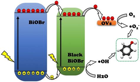 Proposed photocatalytic mechanisms in degradation of organic pollutants... | Download Scientific ...