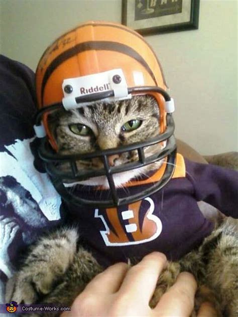 The Bengals NEW MASCOT costume for cats | Creative DIY Costumes