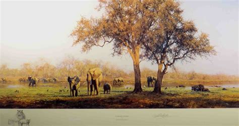 David Shepherd signed, limited edition, prints, luangwa evening ...