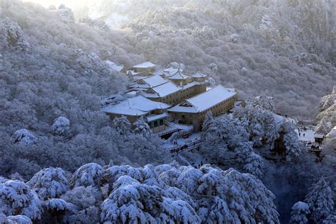 snow-covered pine trees at Huangshan Mountain via Discover China | Huangshan mountains ...