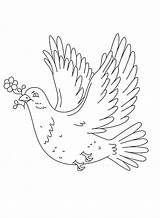20  Doves Coloring Pages Free Printable PDF & Online sketch template