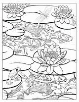 Pond Coloring Pages At GetDrawings  Free Download sketch template