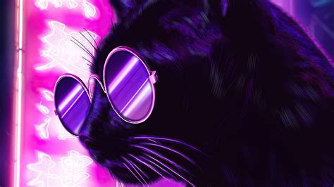 1920x1080 Cat Glasses Neon Purple Nights 4k Laptop Full HD 1080P ,HD 4k Wallpapers,Images ...