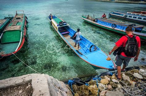 Lamun dan Dugong untuk Bahari yang Lebih Lestari – Denai Ghozaliq