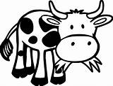 Cow Face Coloring Pages sketch template
