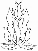 Seaweed Coloring Pages At GetColoringscom  Free Printable Colorings sketch template