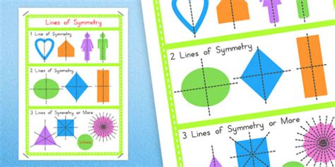 Lines of Symmetry Display Poster