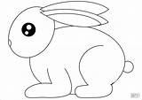 Rabbit Coloring Pages  ColoringBay sketch template