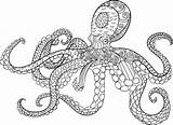 Octopus Coloring Page Printable At GetDrawings  Free Download sketch template