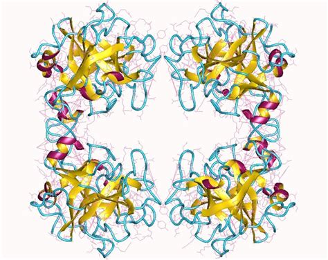 Tryptase - Creative Enzymes