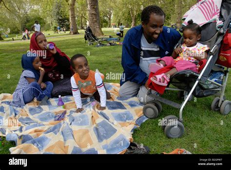 Extended family picnic in park Stock Photo - Alamy