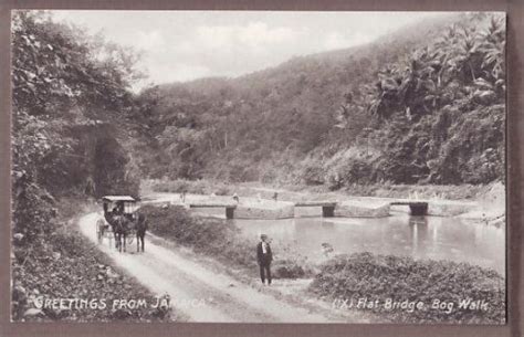 Flat Bridge (Past) | Jamaica history, Old jamaica, Jamaica