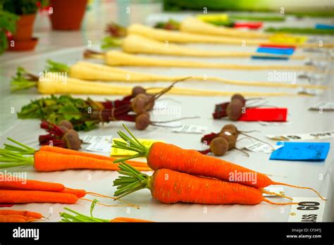 Vegetables display show veg hi-res stock photography and images - Alamy