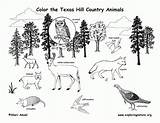 Prairie Coloring Pages sketch template