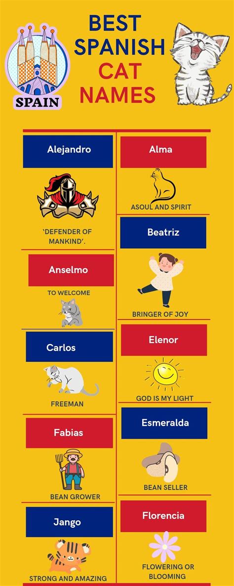 Best Spanish Cat Names Infographic in 2022 | Cat names, Boy cat names ...