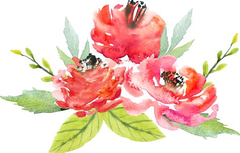Watercolor Painting Watercolour Flowers Art Pink Flow - vrogue.co