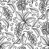 Spices Coloring Pages sketch template