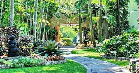 Fairchild Tropical Botanic Garden – The Society of the Four Arts