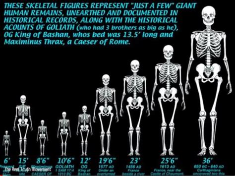 What are Nephilim? Do they matter today? | Christian Faith