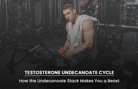 Undecanoate Review | Cycle, Benefits, Before and After Results - Correct Dosage