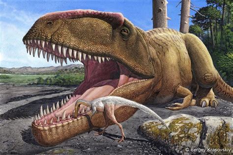 Giganotosaurus Was Bigger Than T. Rex, but Still in Its Shadow | Dinosaur art, Prehistoric ...