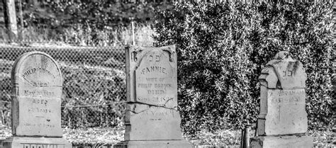 Three Tombstones Free Stock Photo - Public Domain Pictures