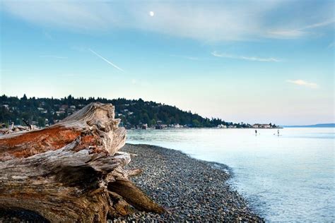 Picture taken of Lincoln Park beach by Matsin Studios of Seattle ...