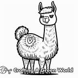Llama Coloring Pages  Free & Printable sketch template