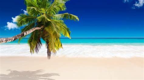 Tropical Beach Wallpaper Hd Resolution - High Resolution High ...