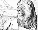 Lion Coloring Pages  Majestic Black & White Outlined Printable PDF In sketch template