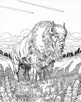 Buffalo Coloring Pages  ColoringBay sketch template