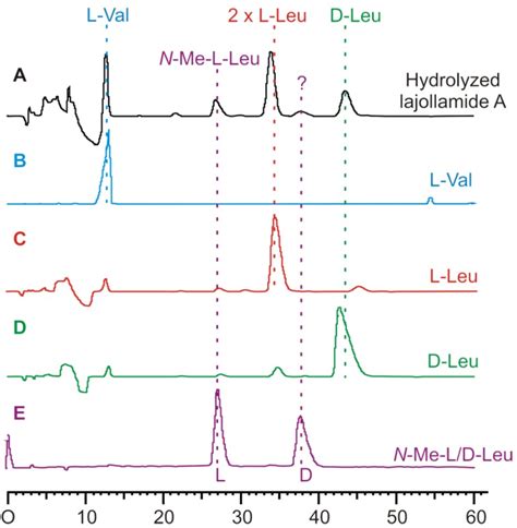 Stereochemical analysis of the amino acid building blocks in 1 by ...